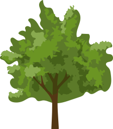 Expert boiler repairs Hertfordshire