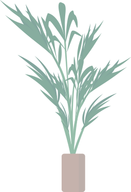 Local boiler services quote plant